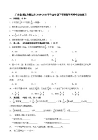 广东省湛江市廉江市2024-2025学年五年级下学期数学科期中综合练习（有答案）