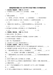 湖南省常德市澧县2024-2025学年六年级下学期3月月考数学试卷