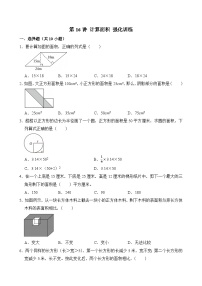 2025小升初数学热点考点强化第16讲计算面积强化训练(原卷版+解析)