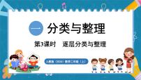 人教版（2024）一 分类与整理教案配套课件ppt