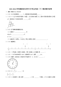 2023-2024学年湖南省长沙市宁乡市五年级（下）期末数学试卷