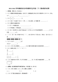2023-2024学年湖南省长沙市浏阳市五年级（下）期末数学试卷