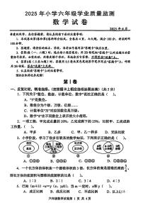 湖北省武汉市黄陂区2024-2025学年六年级下数学期末试卷