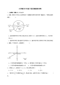 2024_2025学年苏教版数学六年级下册 期末特训卷(含答案）