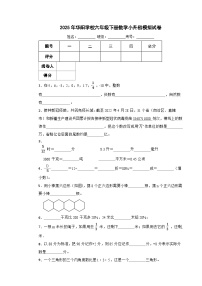 永州市2025年华阳学校六年级下册数学小升初模拟试卷（九）附解析