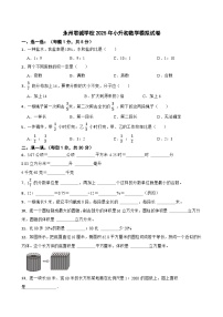 永州君诚学校2025年小升初数学模拟试卷（三）(学生版)