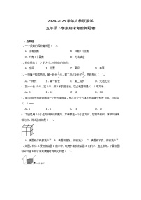 2024-2025学年人教版数学 五年级下期末测试卷 (5)