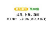 人教版（2024）三年级上册（2024）1. 线段、射线、直线作业ppt课件