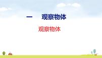 小学人教版（2024）一 观察物体示范课ppt课件