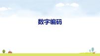 小学数学人教版（2024）三年级上册（2024）认识数字编码课堂教学ppt课件