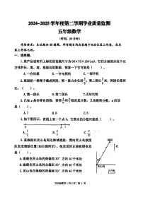山东省青岛市黄岛区2024-2025学年五年级下数学期末试卷