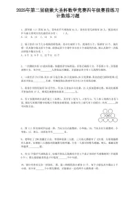 2025年第二届晓猴大圣杯数学竞赛4年级赛前练习计数题目2练习含答案