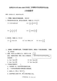 广东省深圳市龙华区2024-2025学年第二学期六年级数学期末试卷（无答案）