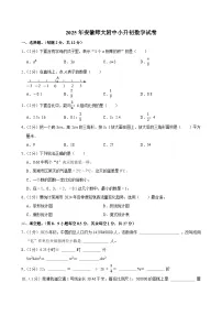 2025年安徽师大附中小升初数学试卷