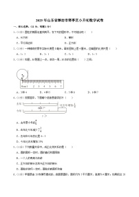2025年山东省潍坊市寒亭区小升初数学试卷