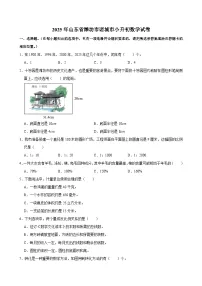 2025年山东省潍坊市诸城市小升初数学试卷