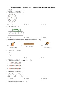 广东省深圳龙岗区2024-2025学年二年级下学期数学学科素养期末综合试题
