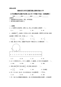 湖南省长沙市岳麓区麓山国际实验小学人教版小升初模拟考试数学试卷2024年下学期六年级（答案解析）