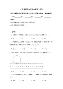 广东省深圳市深圳实验学校小学小升初模拟考试数学试卷2025年下学期六年级（不含答案解析）