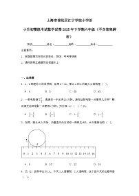 上海市普陀区江宁学校小学部小升初模拟考试数学试卷2025年下学期六年级（不含答案解析）