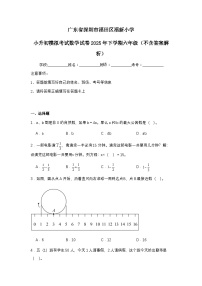 广东省深圳市福田区福新小学小升初模拟考试数学试卷2025年下学期六年级（不含答案解析）