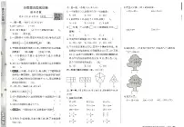 数学三年级上册分类巩固练习