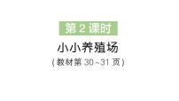 北师大版（2024）三年级上册（2024）小小养殖场作业课件ppt