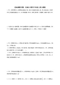 经典奥数专题：比综合 训练-数学六年级上册人教版（含解析）