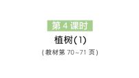 小学北师大版（2024）第六单元 乘除法的应用（二）植树作业ppt课件