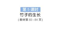北师大版（2024）三年级上册（2024）竹子的生长作业课件ppt