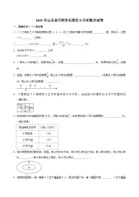 2025年山东省日照市东港区小升初数学试卷