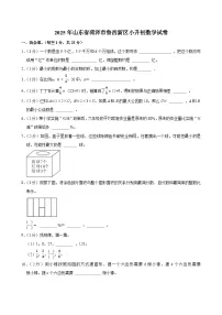 2025年山东省菏泽市鲁西新区小升初数学试卷