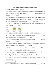 2025年湖南省株洲市茶陵县小升初数学试卷