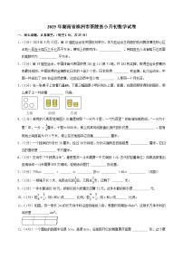 2025年湖南省株洲市茶陵县小升初数学试卷