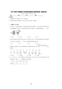 2025年(小升初择校分班考)小升初重点校择校分班考培优卷～秋六年级数学西师大版试卷(含答案解析)