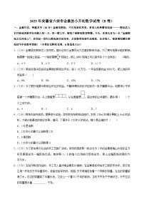 2025年安徽省六安市金寨县小升初数学试卷（B卷）