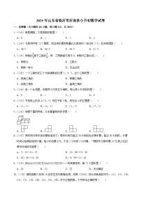 2025年山东省临沂市沂南县小升初数学试卷