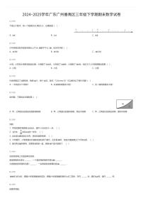 2024~2025学年广东广州番禺区三年级下学期期末数学试卷（有答案解析）