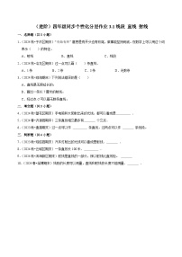 人教版（2024）四年级上册线段、直线、射线综合训练题