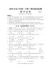 西南大学版眉山市仁寿县2025年春六年级毕业质量监测数学试题（无答案）