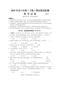 西南大学版眉山市仁寿县2025年春六年级毕业质量监测数学试题（无答案）