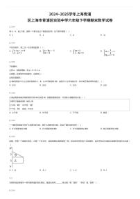 2024~2025学年上海青浦区上海市青浦区实验中学六年级下学期期末数学试卷（有答案解析）