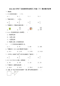 2024-2025学年广东省深圳市龙岗区三年级（下）期末数学试卷