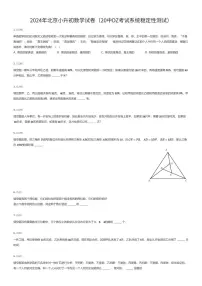 2024年北京小升初数学试卷（20中DZ考试系统稳定性测试）（有答案解析）