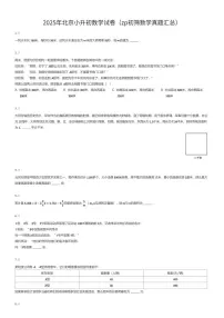 2025年北京小升初数学试卷（zp初筛数学真题汇总）（有答案解析）