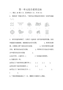 青岛版（五四学制）（2024）三年级上册（2024）一 美丽乡村——轴对称、平移和旋转现象练习题