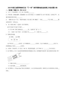 2025年浙江省夏季奥林匹克“丁一杯”数学竞赛省级选拔赛三年级试题B卷+答案
