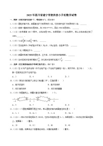 2025年四川省遂宁市射洪县小升初数学试卷