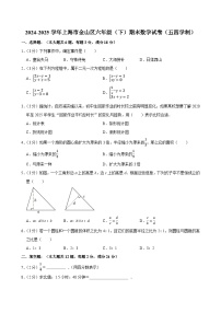 2024-2025学年上海市金山区六年级（下）期末数学试卷（五四学制）(含解析)