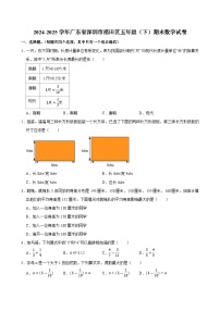 2024-2025学年广东省深圳市福田区五年级（下）期末数学试卷